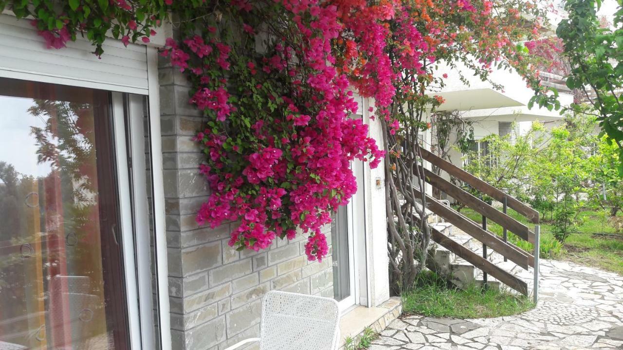 Olives Residence Dhermi Ngoại thất bức ảnh